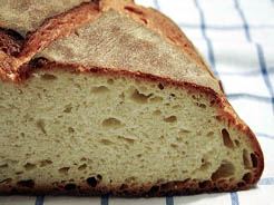 Parmigiana di zucchine (14)