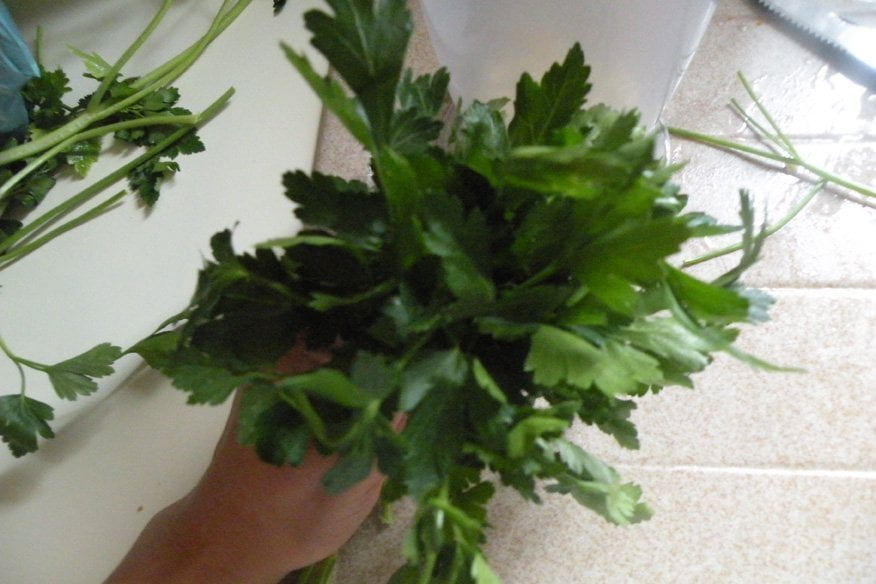 calamari-in-salsa-verde-004