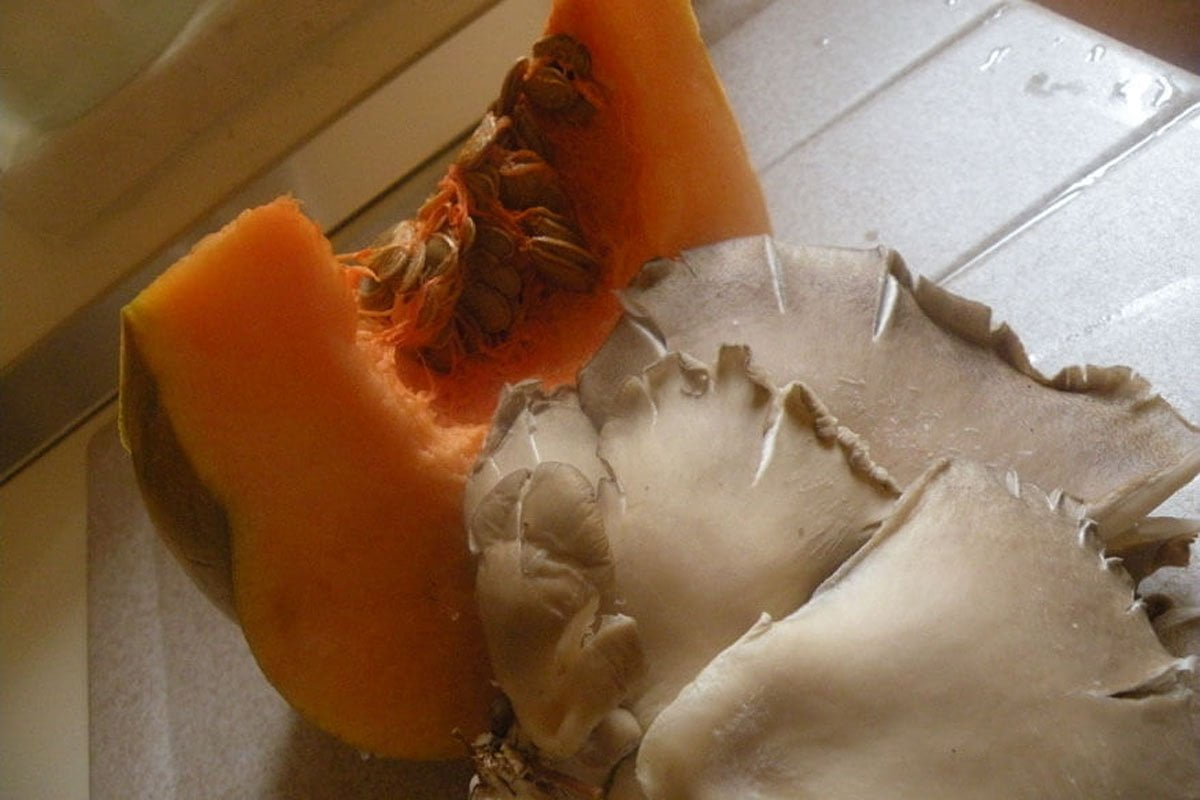 pasta-con-vellutata-di-zucca-funghi-e-pancetta-001