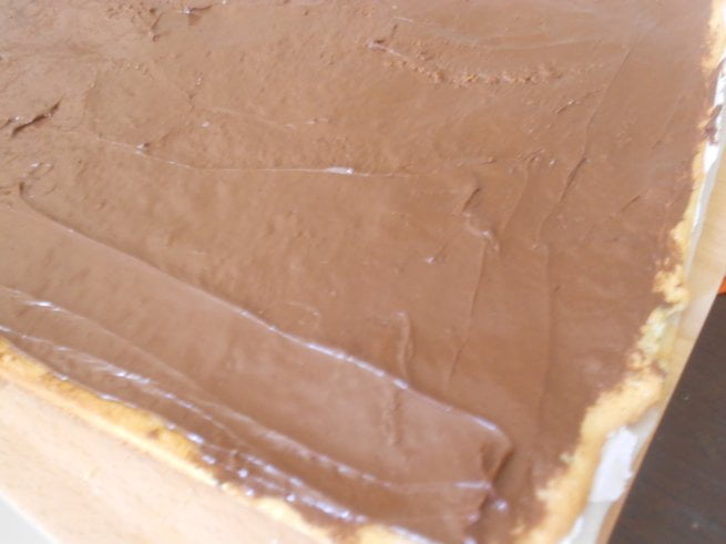 rotolo-alla-nutella-012