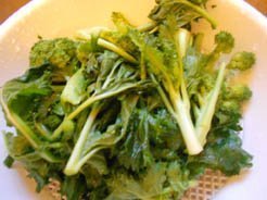 spaghetti-con-le-rape-001