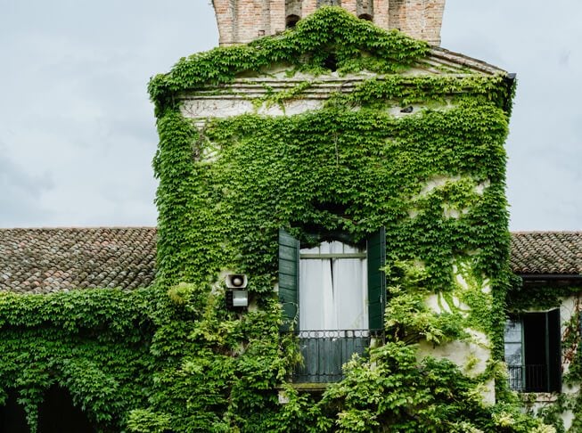 giulia molinari eventi (4)