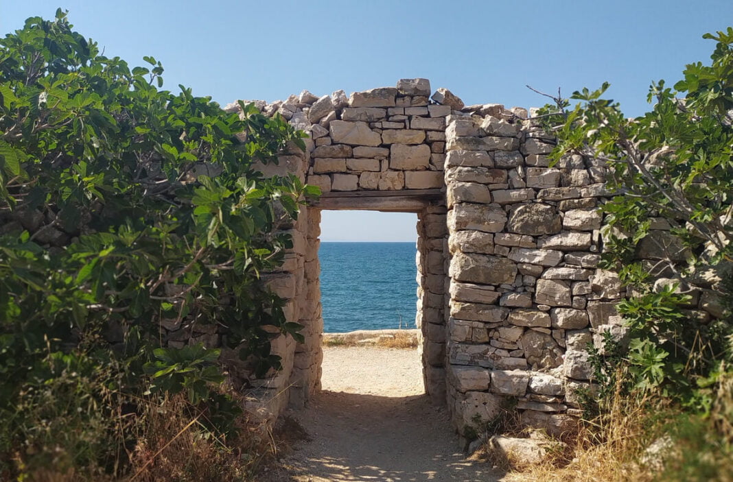 cover editoriale dms 35