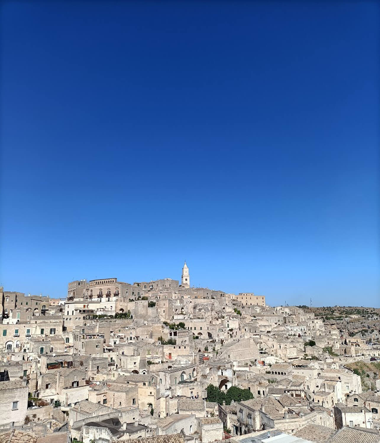 alvino matera (6)