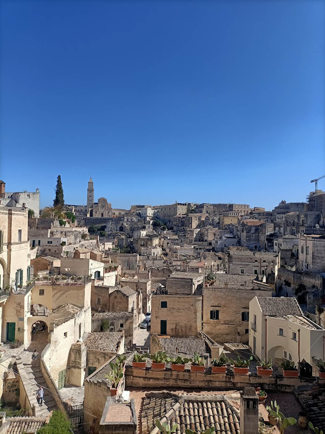 alvino matera (9)