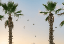 L’incanto del tempo sospeso / ALVINO RELAIS MULINO CONTEMPORANEO