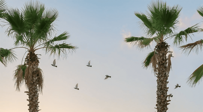 L’incanto del tempo sospeso / ALVINO RELAIS MULINO CONTEMPORANEO