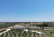 Fascino della storia ed eleganza moderna / Masseria Corsano