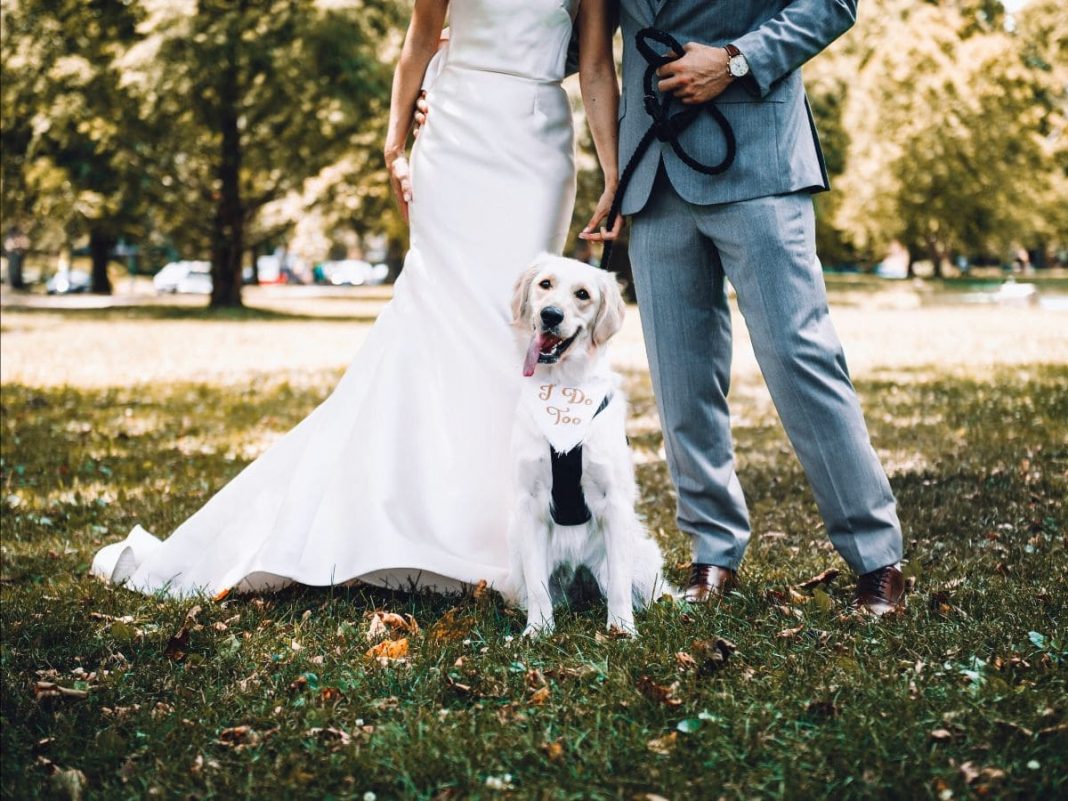 romasposa 1